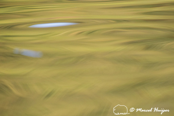 Abstract, reflections in Rio Negro, Pantanal, Mato Grosso do Sul