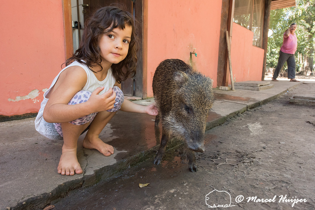 Giovana and her rescued collared peccary (Pecari tajacu), Pantan