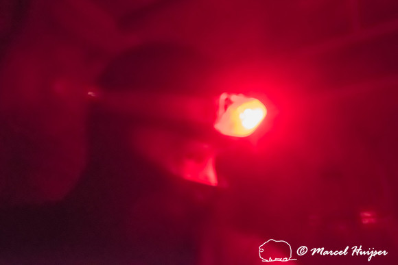 Marcel Huijser in blind with low power red light to reduce distu