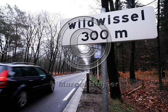 Animal detection system LED SICK WS WE 45 at a gap in a wildlife fence near Harderwijk, The Netherland