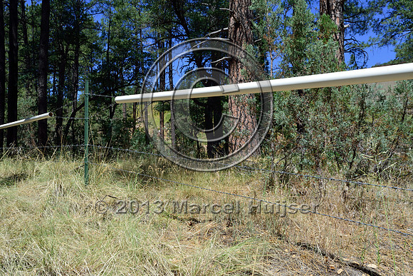 Livestock fence with plastic tube over the top wire, SR 260, west of Kohl's Ranch, Arizona, USA