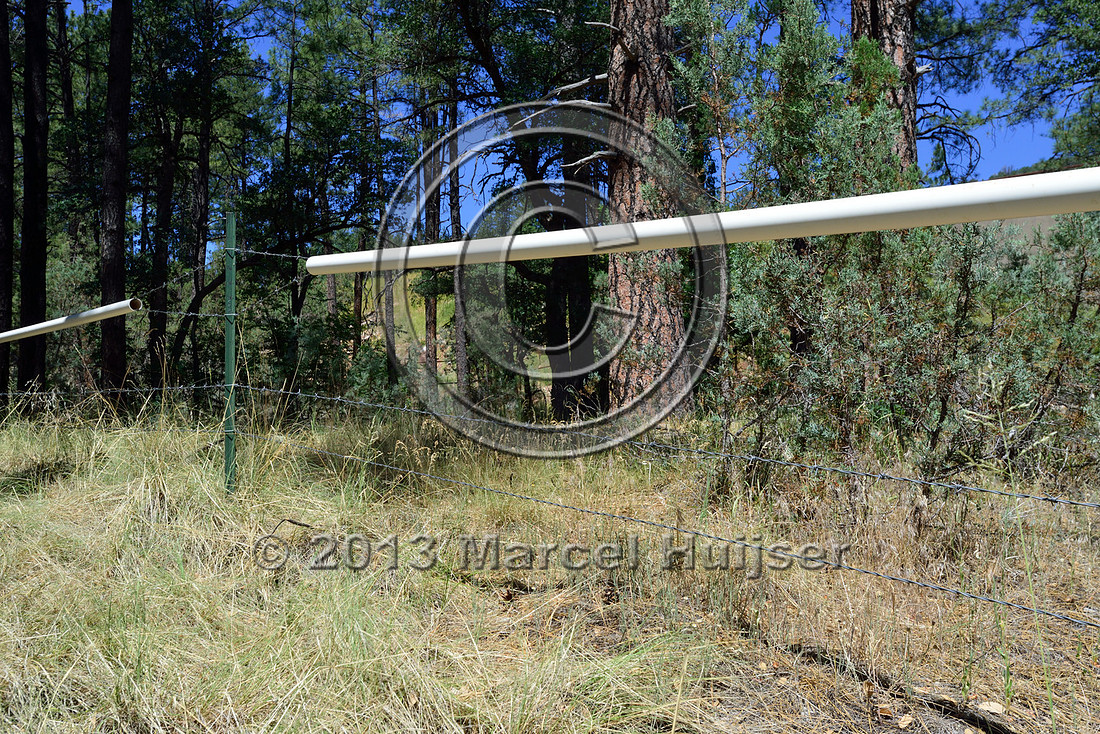 Road ecology blog: Livestock fence with plastic tube over the top wire, SR 260, west of Kohl