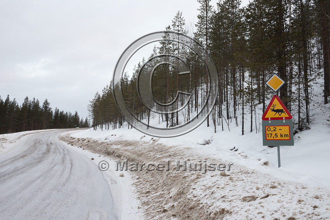 Wildlife warning sign for reindeer (Rangifer tarandus), Sweden