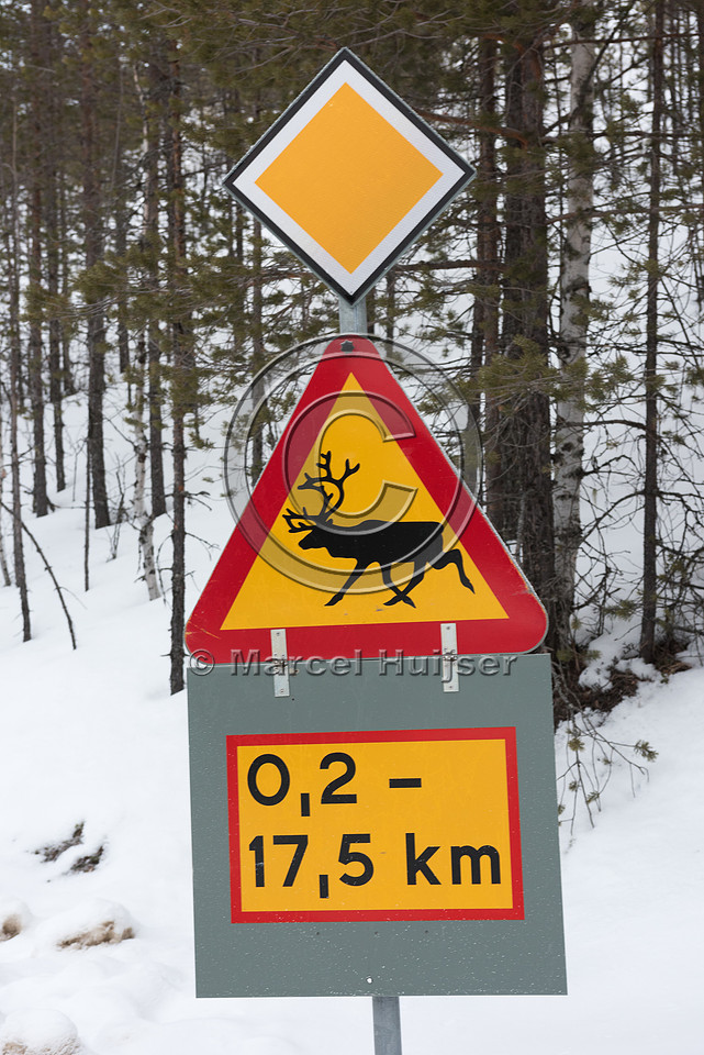 Wildlife warning sign for reindeer (Rangifer tarandus), Sweden