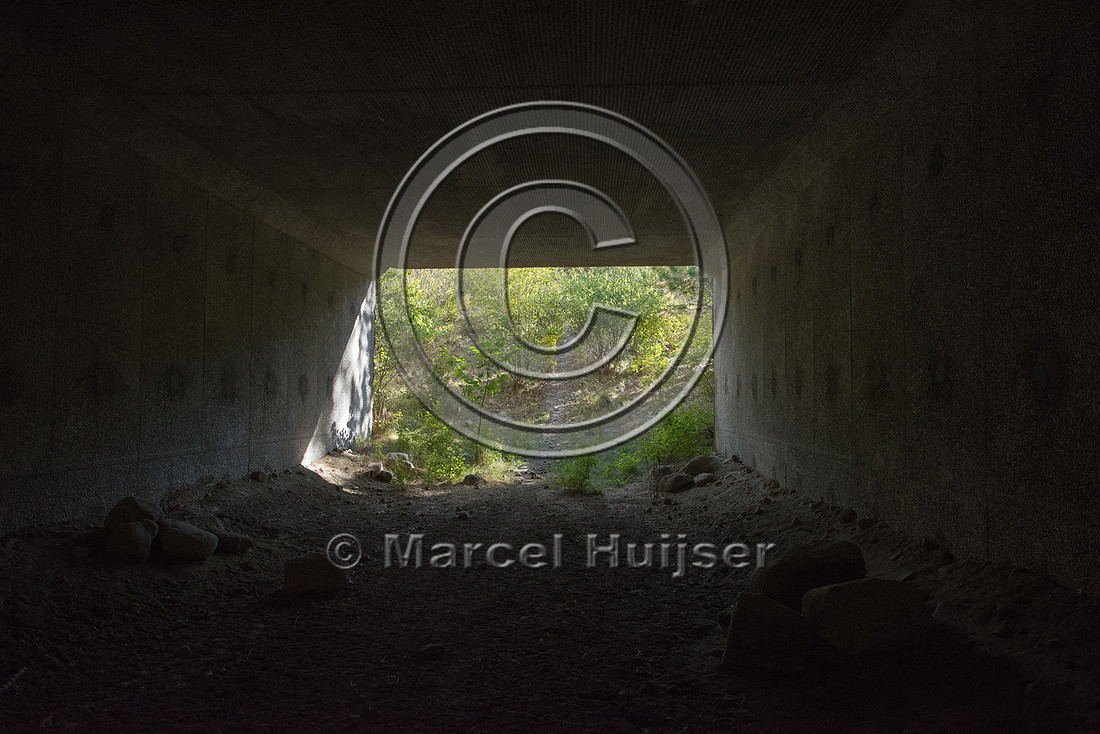 Boulders and rocks provide cover for small animals inside a wild