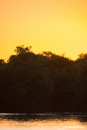 Sunset, Pantanal, Mato Grosso do Sul, Brazil