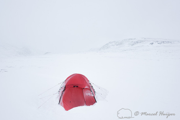 Our first camp, Dovrefjell, Norway