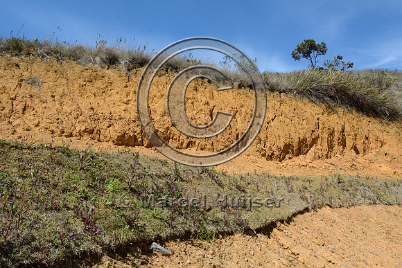 Partial slope stabilization with sod along gravel road, near Parque Nacional da Serra da Bocaina, São Paulo, Brazil