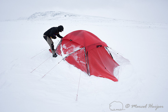Niels Kooyman at first camp, Dovrefjell, Norway