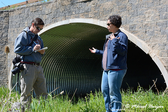 Sepp Jannotta (writer Montana State University News Service) interviews Whisper Camel-Means (wildlife biologist, Confederated Salish & Kootenai Tribes) about the wildlife mitigation measures alongUS H