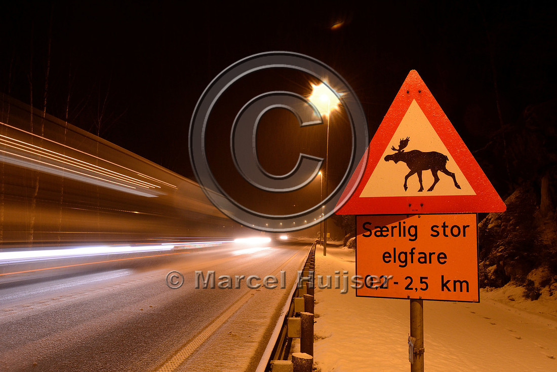 Street lighting to increase the visibility of moose (Alces alces) to drivers, E6 highway, south of Ringebu, Norway