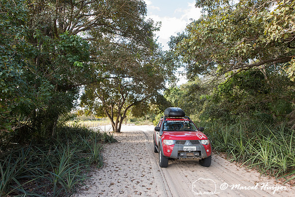 Mitsubishi 4x4, L200 Triton Savana, on wildlife expedition to th