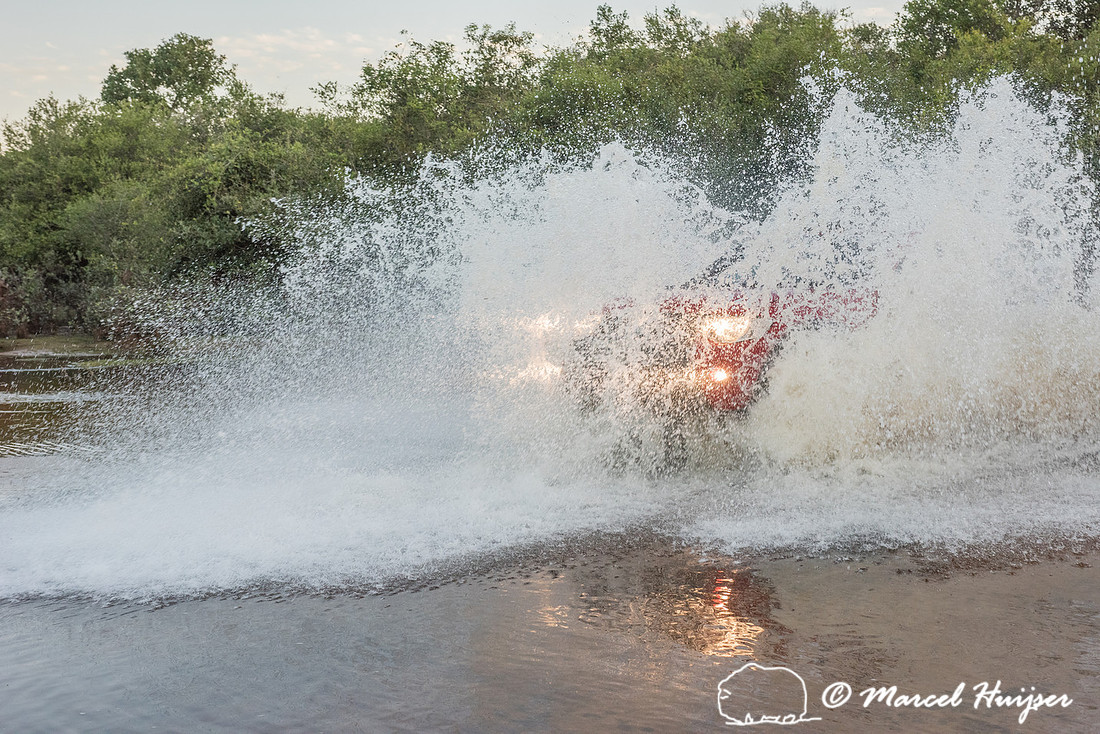 Crossing a stream, Mitsubishi 4x4, L200 Triton Savana, on wildli
