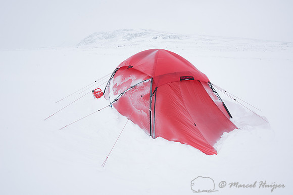 Our first camp, Dovrefjell, Norway