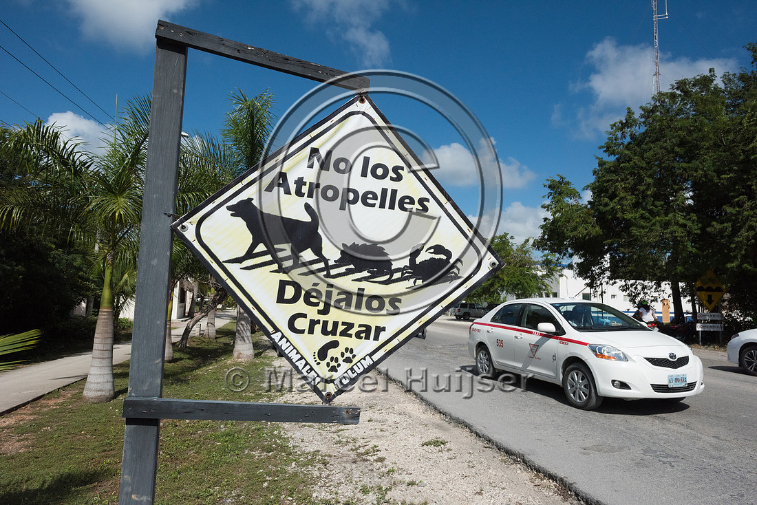 Warning sign for dogs, opossums and crabs, Tulum,  Mexico