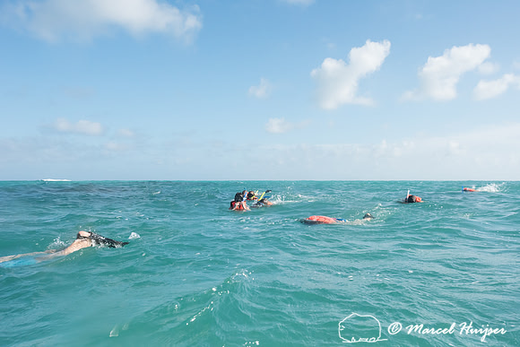 Snorkeling at coral reef, Sian Ka'an, Yucatan, Mexico