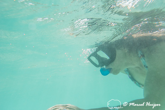 Bethanie Walder snorkeling, Sian Ka'an, Yucatan, Mexico