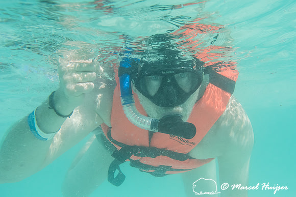 Marcel Huijser snorkeling, Sian Ka'an, Yucatan, Mexico