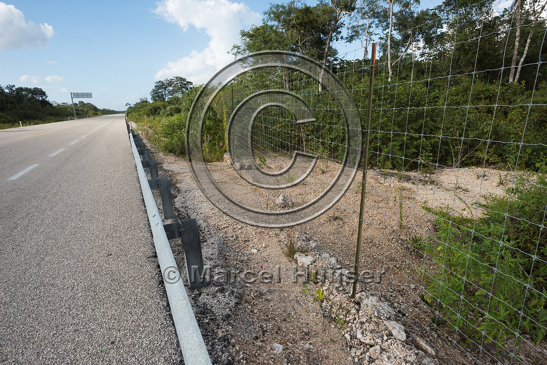 Wildlife fence along Nuevo Xcan-Playa Del Carmen highway, Quinta