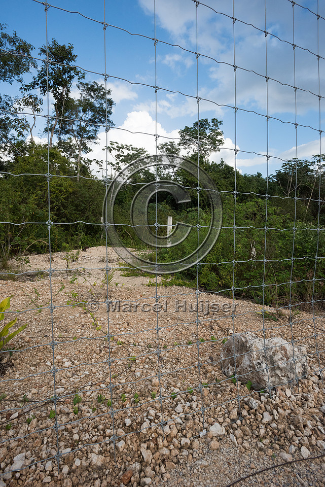 Wildlife fence along Nuevo Xcan-Playa Del Carmen highway, Quinta