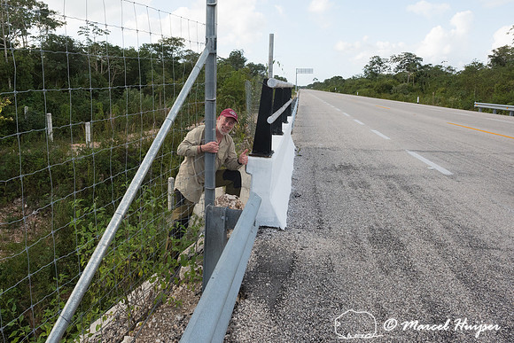 Marcel Huijser checks out wildlife underpass, Nuevo Xcan-Playa D