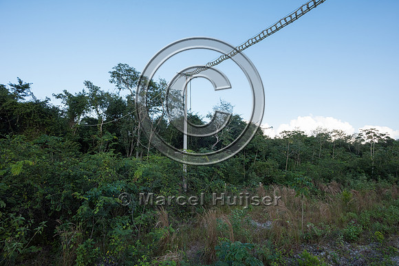 Canopy crossing for arboreal mammals, Nuevo Xcan-Playa Del Carme