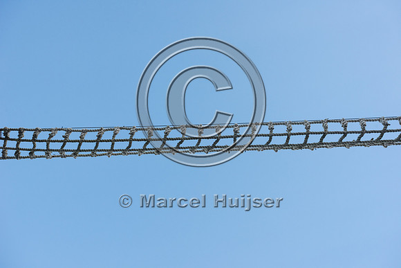 Canopy crossing for arboreal mammals, Nuevo Xcan-Playa Del Carme