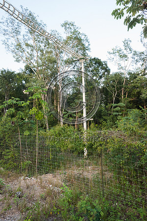 Canopy crossing for arboreal mammals, Nuevo Xcan-Playa Del Carme