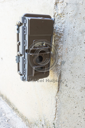 Wildlife camera in underpass, Nuevo Xcan-Playa Del Carmen highwa