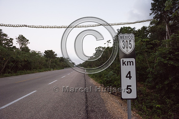 A kilometer post and canopy crossing for arboreal mammals, Nuevo