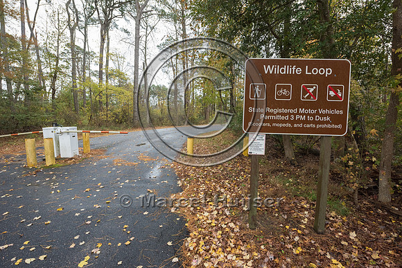 Gate at wildlife loop, Chincoteague National Wildlife Refuge, Vi