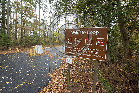 Gate at wildlife loop, Chincoteague National Wildlife Refuge, Vi