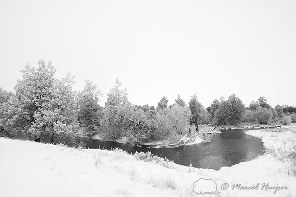 Mission Creek, National Bison Range, Montana, USA