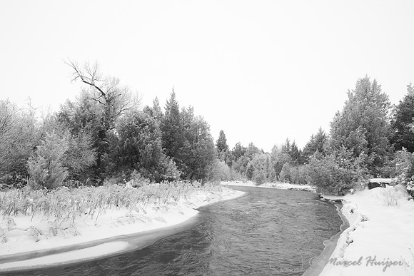 Mission Creek, National Bison Range, Montana, USA