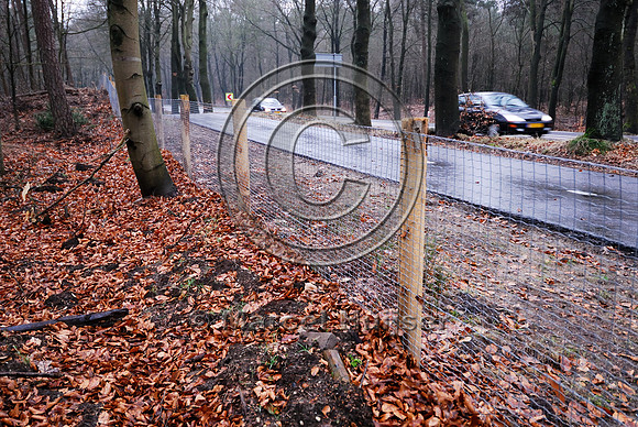 Wildlife fences, N302, Leuvenumseweg, Sonnevanck, east of Harderwijk, The Netherlands