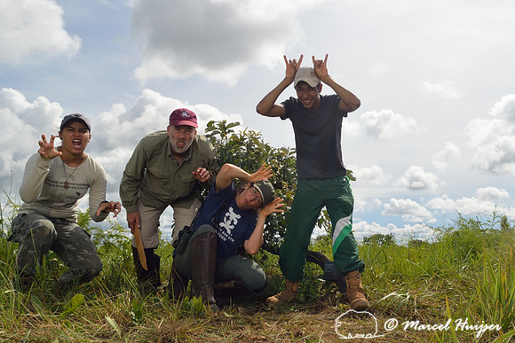 Karolyne Rodrigues (Onça-pintada), Marcel Huijser (ratão-do-banhado), Bethanie Walder (tatu canastra), and Joel Jesus Silva (veado-campeiro), Parque Nacional das Emas, Goiás, Brazil