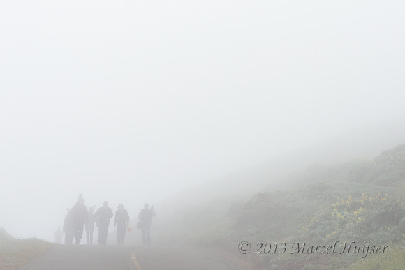Bird watchers with telescopes approaching in the fog, Point Reyes National Seashore, California, USA