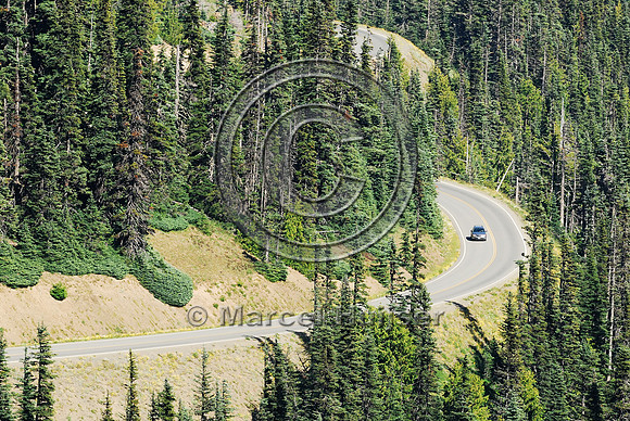 Car on mountain road through forest, WA