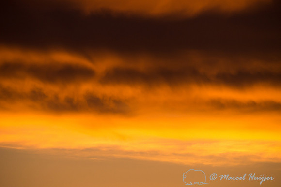 Sunrise on the great plains, Montana, USA