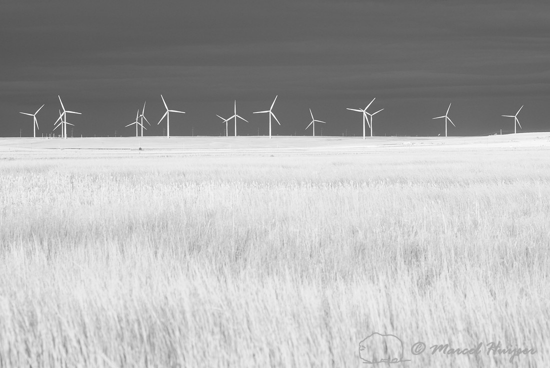 Wind turbines at Freezout Lake, in infrared, Montana, USA