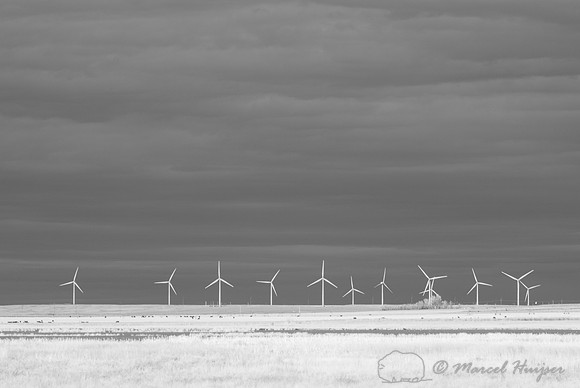 Wind turbines at Freezout Lake, in infrared, Montana, USA