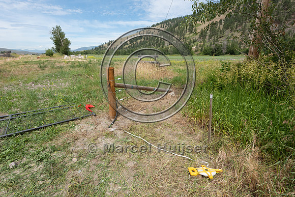 Installing electric fence and gates at a melon field to keep bla