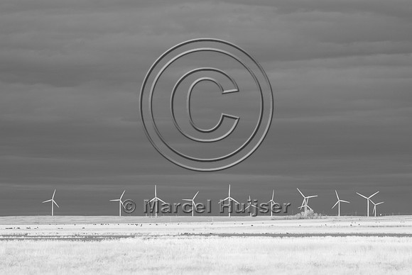 Wind turbines at Freezout Lake, in infrared, Montana, USA