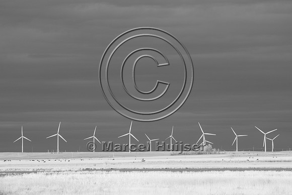 Wind turbines at Freezout Lake, in infrared, Montana, USA