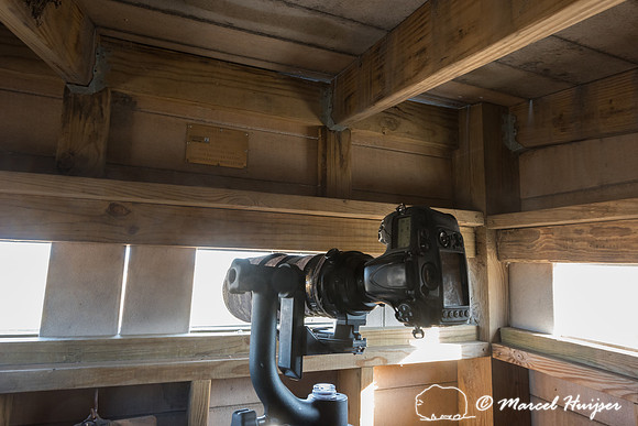 Camera in the blind at the sharp-tailed grouse lek, Valentine Na