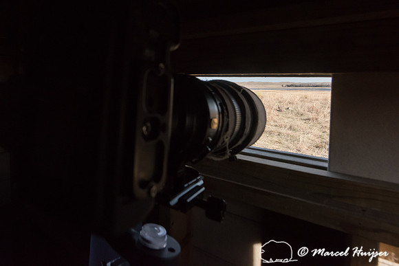 Camera in the blind at the sharp-tailed grouse lek, Valentine Na