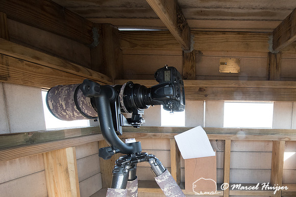 Camera in the blind at the sharp-tailed grouse lek, Valentine Na