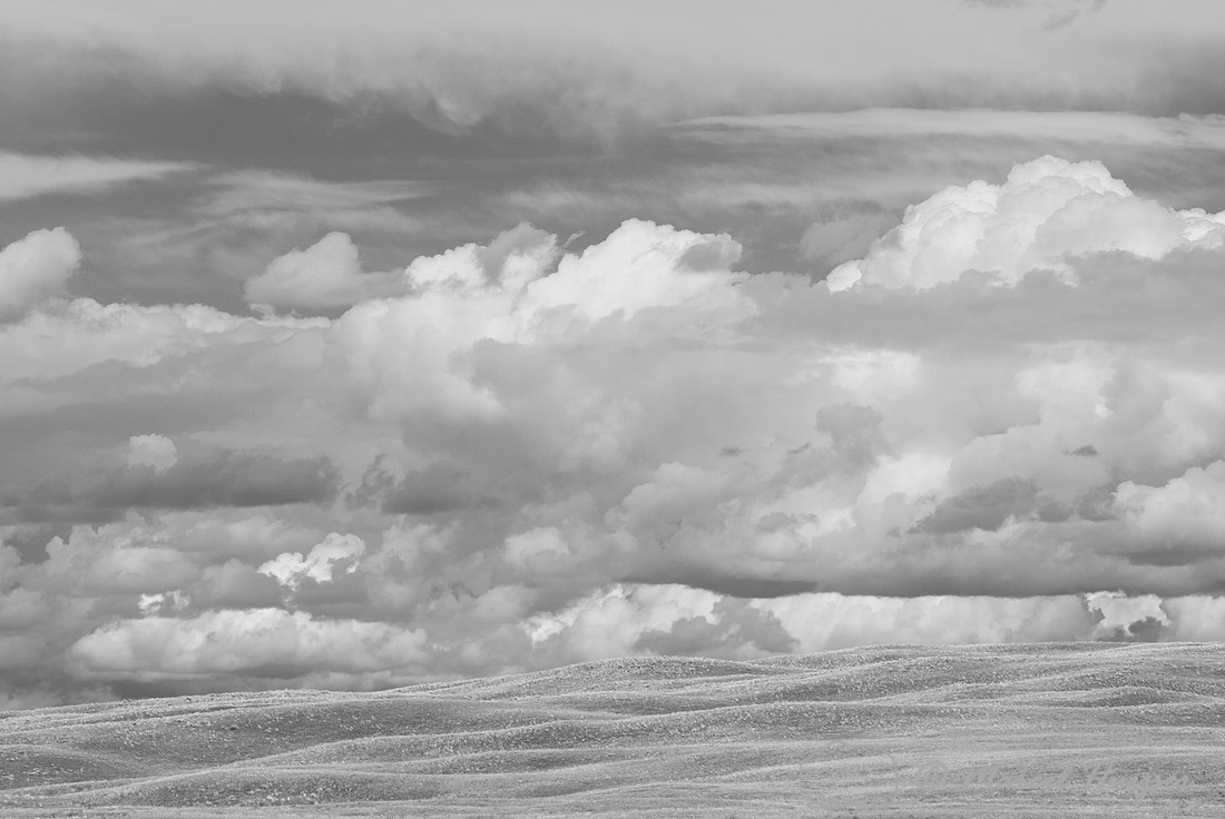 Sandhills in infrared, Nebraska, USA