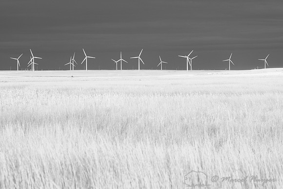 Wind turbines at Freezout Lake, in infrared, Montana, USA