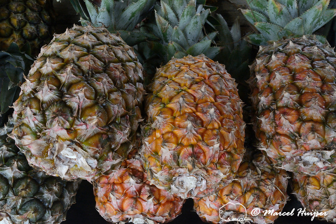 Pineapple, roadside stand, Rio Grande do Sul, Brazil